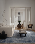 Elegant Dyed Special Shiny High-Quality Dense Woven Living Room Hallway Modern Rug 01MARIN
