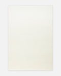 Peace Hav Staubabweisender Weicher Tastbarer Eleganter Shaggy Teppich 01 WHITE